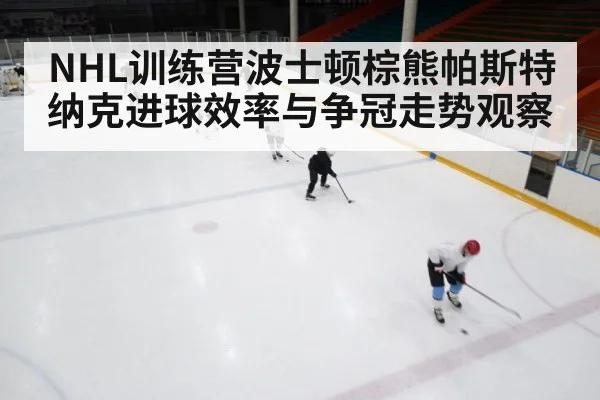 NHL训练营波士顿棕熊帕斯特纳克进球效率与争冠走势观察 | c7c7 app